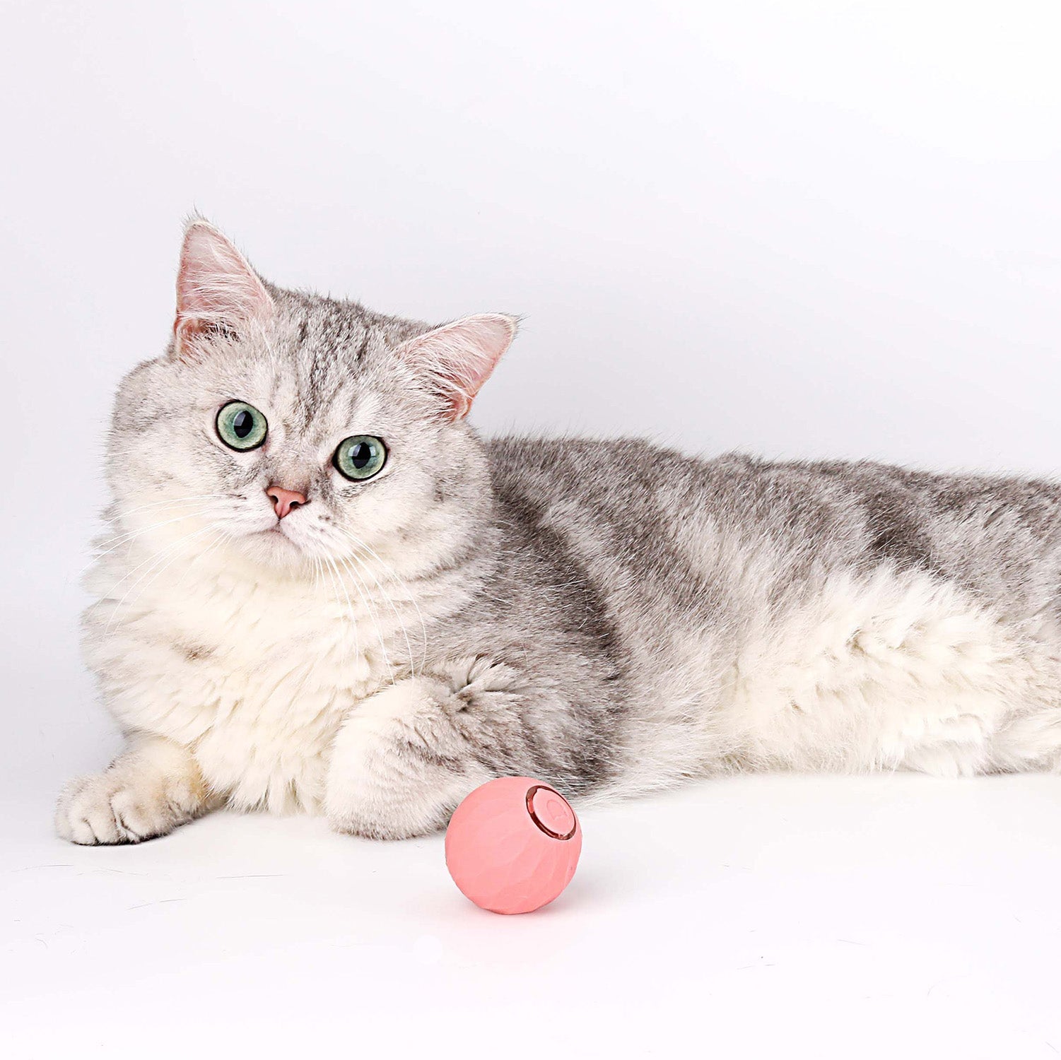 FelineMotion | Engaging Interactive Self-Rolling Cat Toy 1