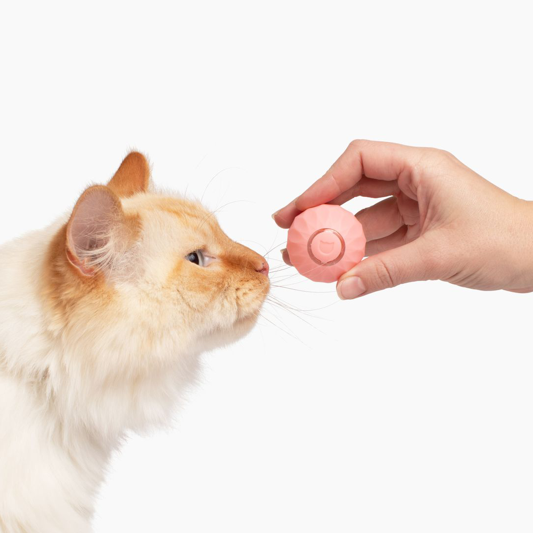FelineMotion | Engaging Interactive Self-Rolling Cat Toy 6