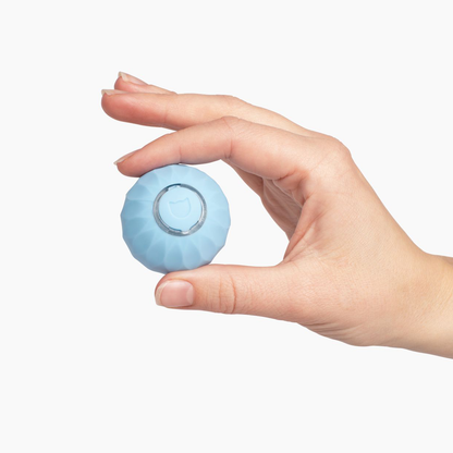 FelineMotion | Engaging Interactive Self-Rolling Cat Toy 7