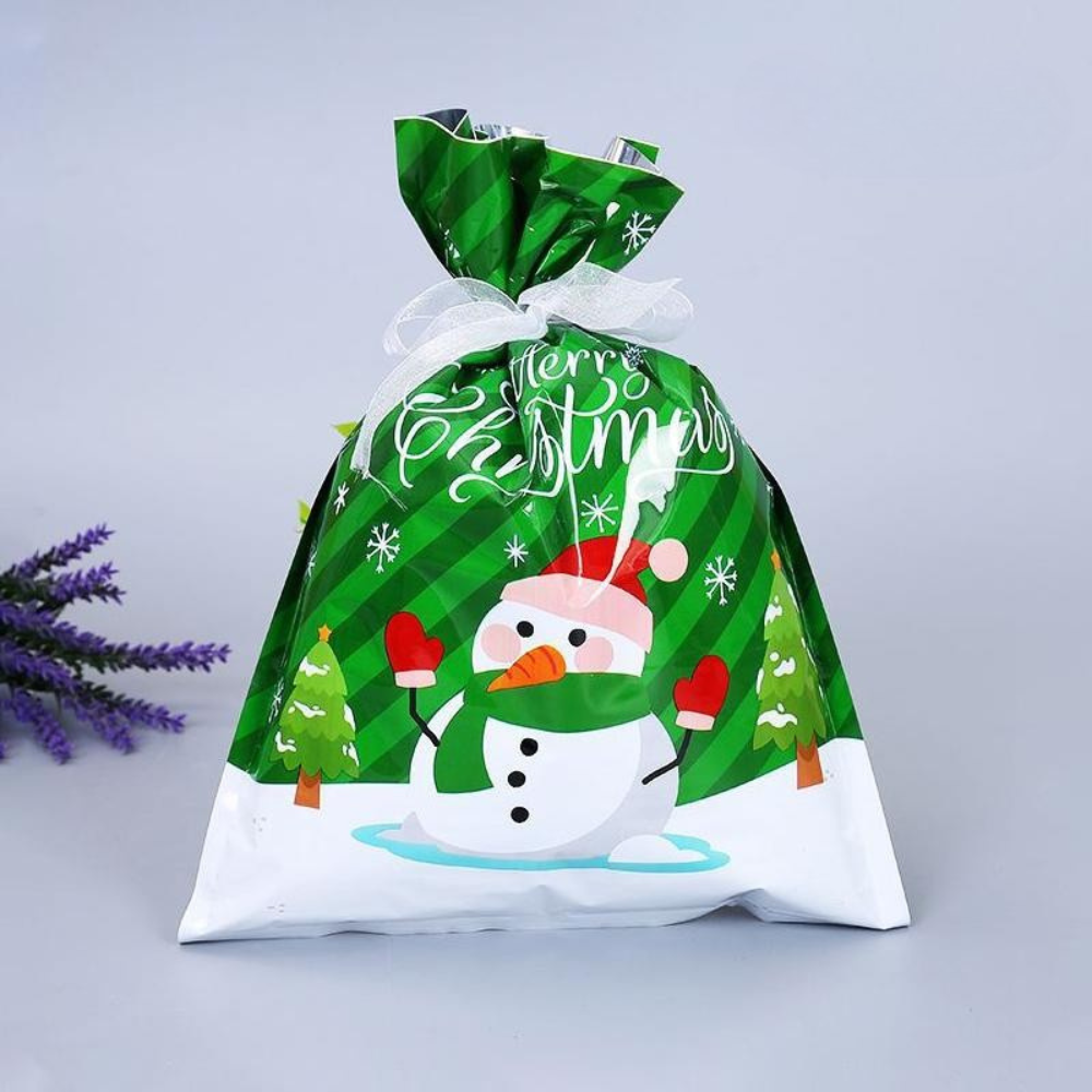 Colorful Reusable Foil Holiday Gift Bags Set - Fesara