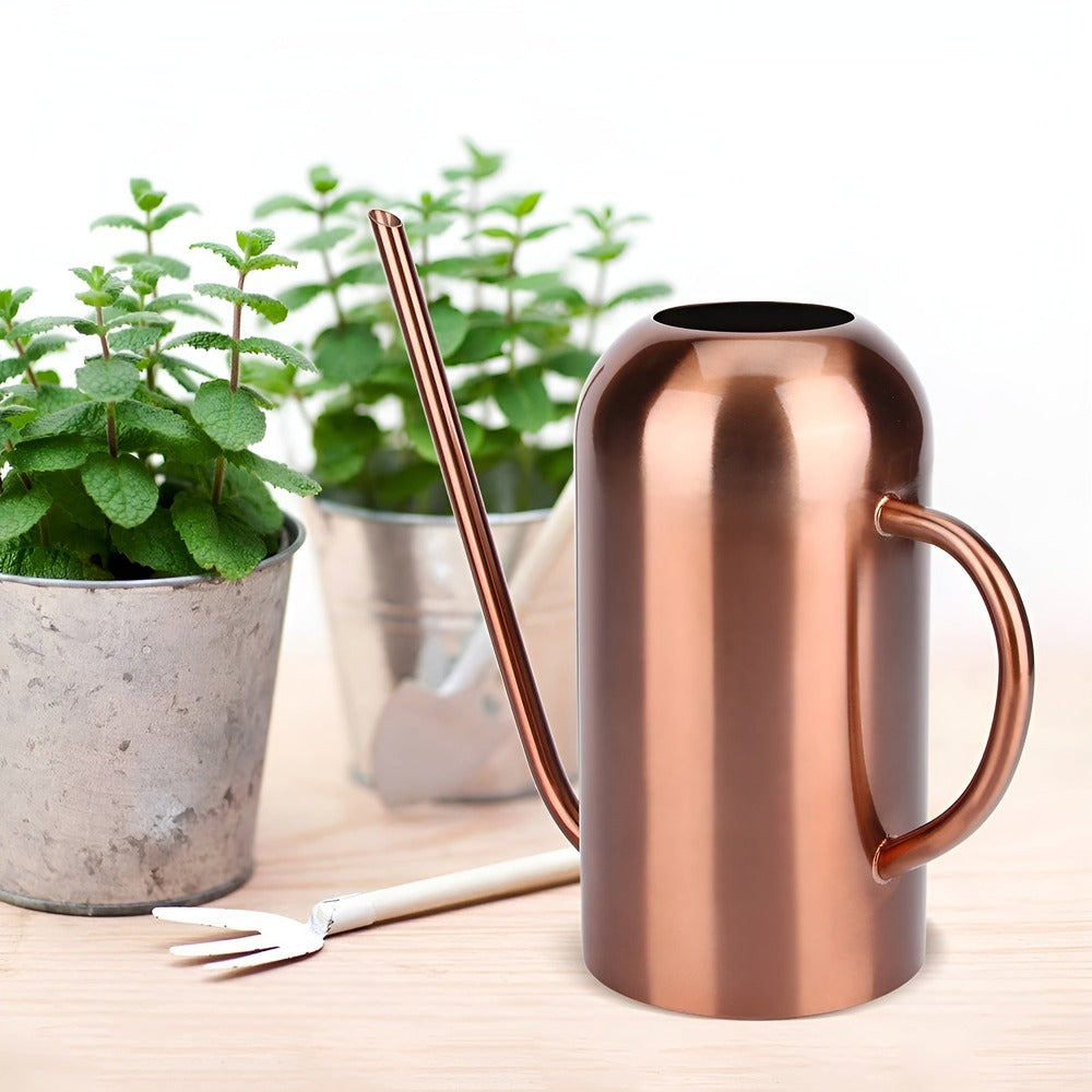 Large Stainless Steel Garden Watering Can with Long Nozzle - Fesara