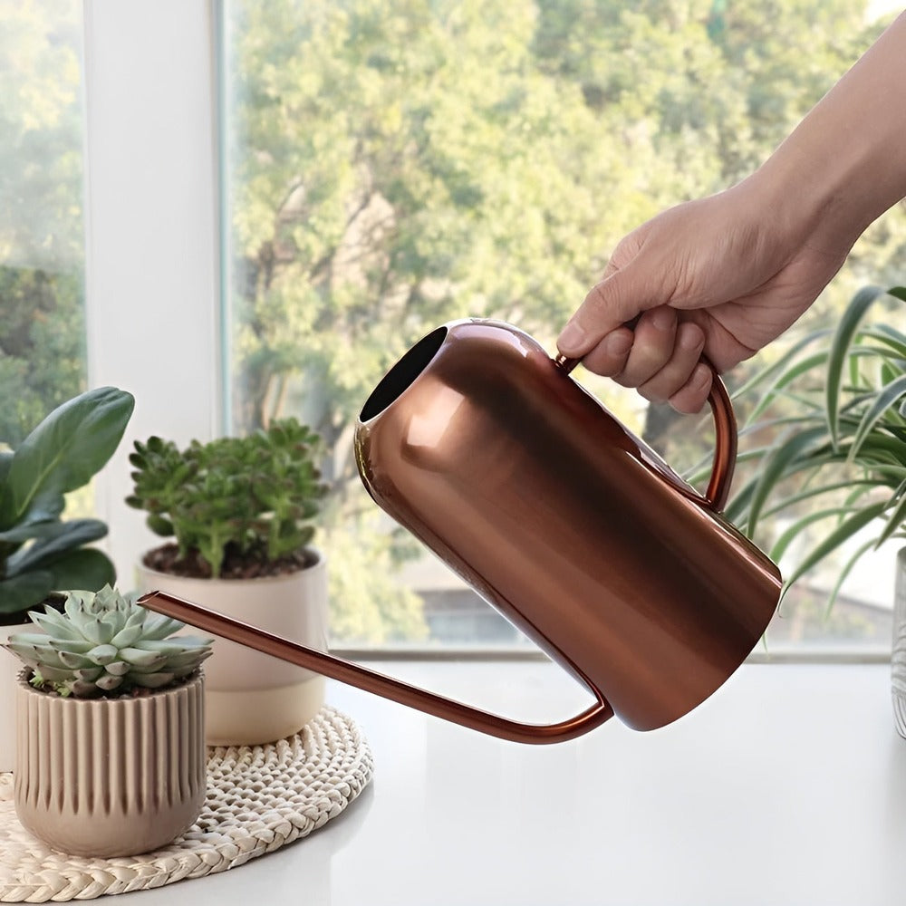 Large Stainless Steel Garden Watering Can with Long Nozzle
