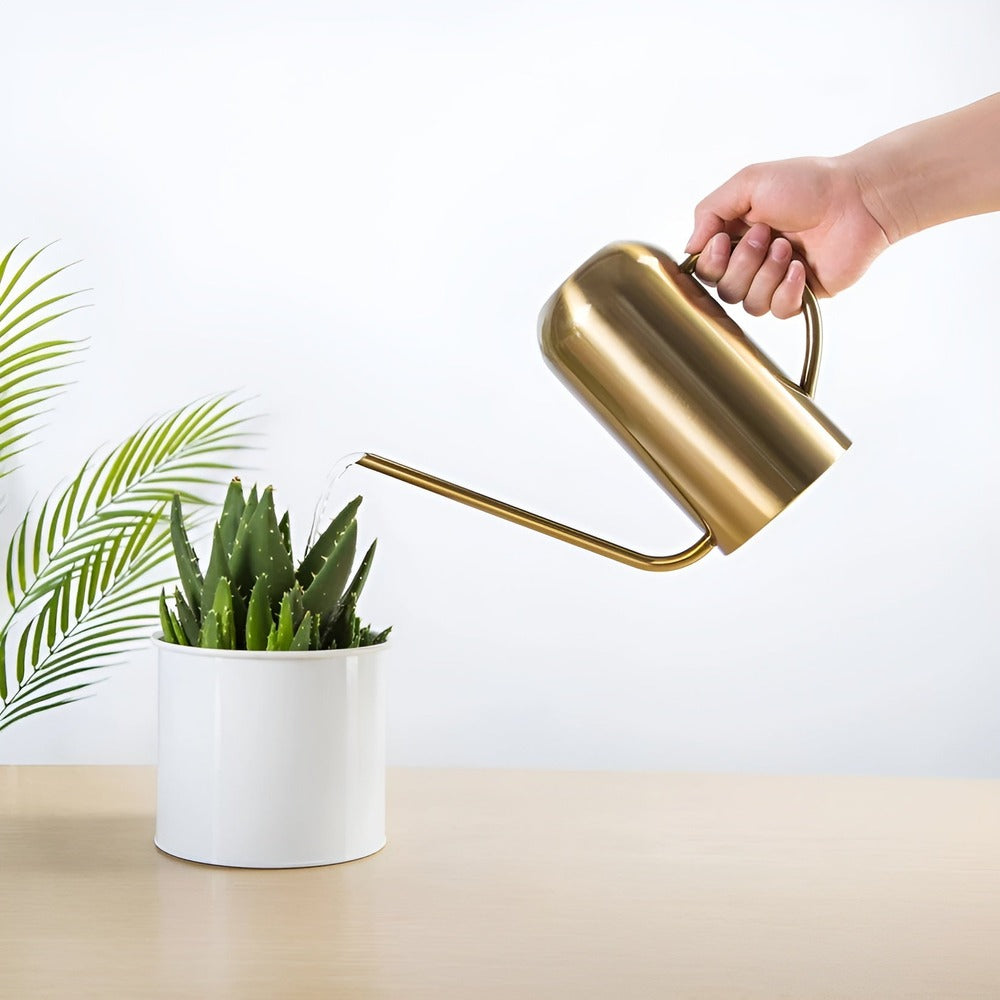 Large Stainless Steel Garden Watering Can with Long Nozzle