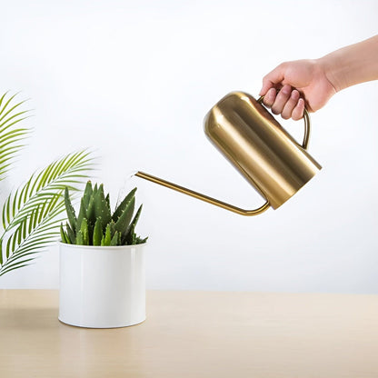 Large Stainless Steel Garden Watering Can with Long Nozzle