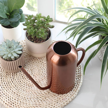 Large Stainless Steel Garden Watering Can with Long Nozzle