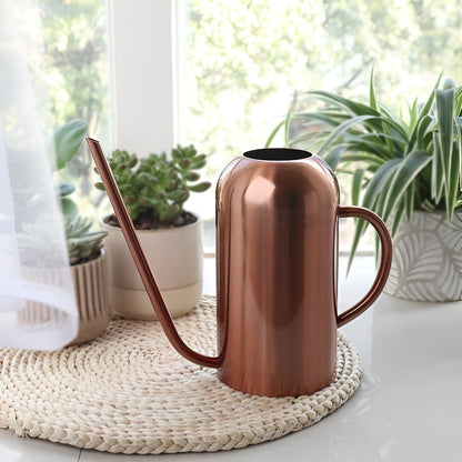 Large Stainless Steel Garden Watering Can with Long Nozzle