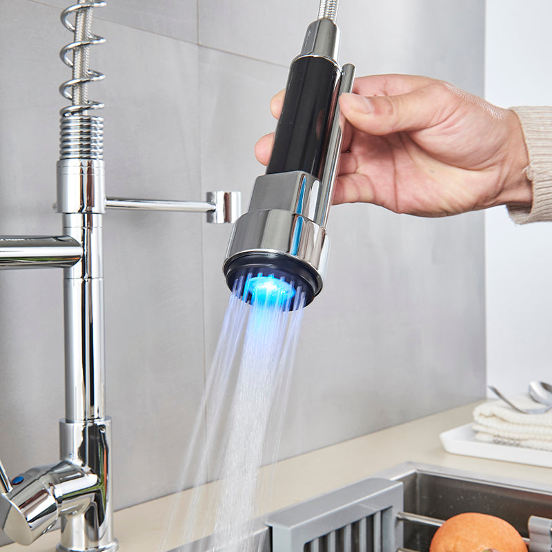 Dual Function Kitchen Sink Faucet