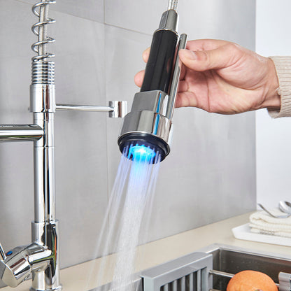Dual Function Kitchen Sink Faucet