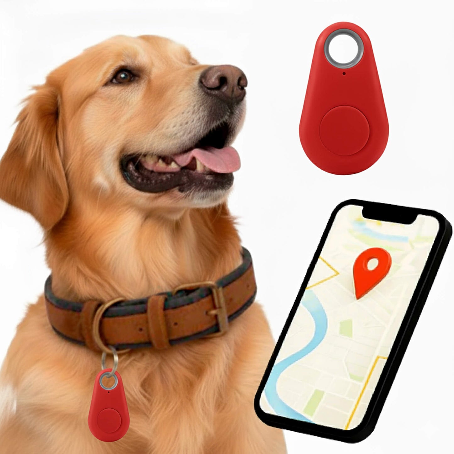Accurate Pet GPS Tracker with Free Lifetime Updates