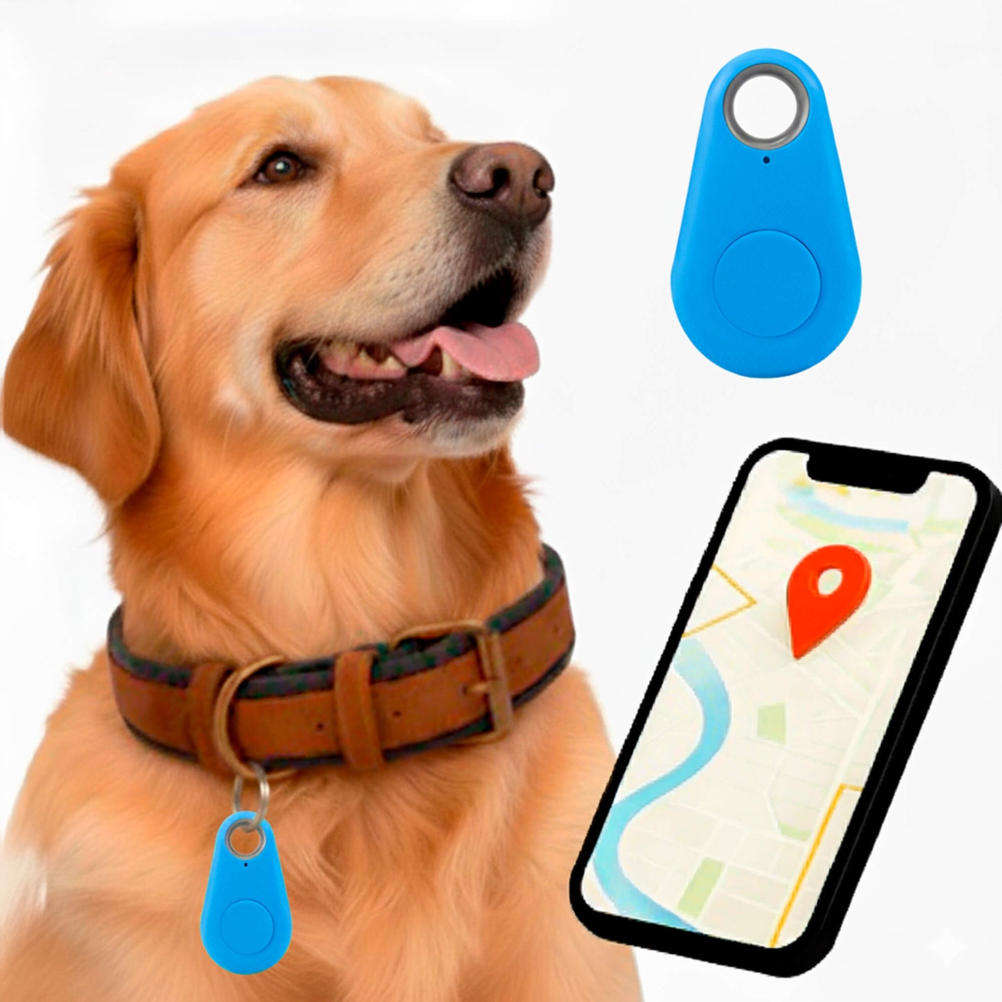 Accurate Pet GPS Tracker with Free Lifetime Updates
