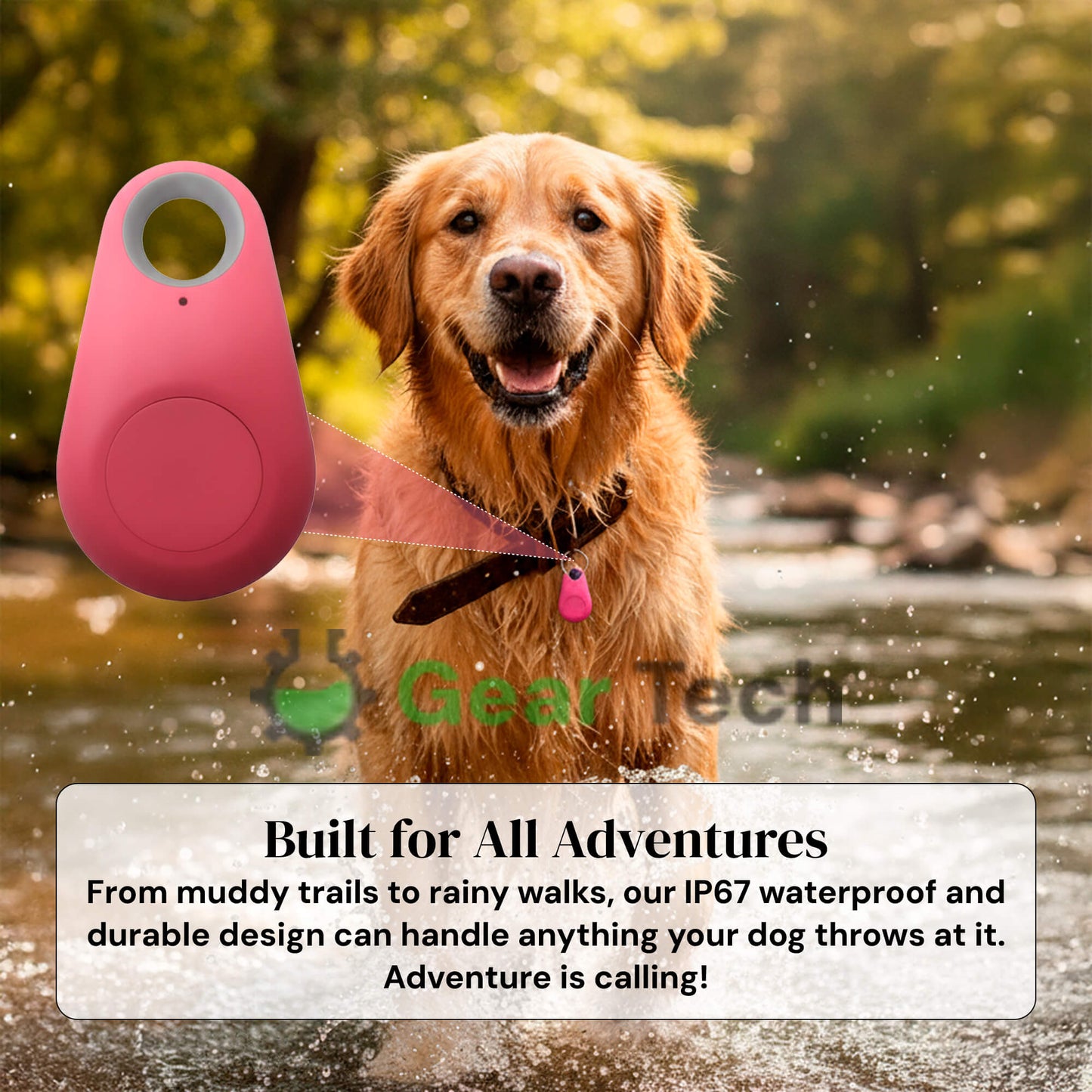 Accurate Pet GPS Tracker with Free Lifetime Updates