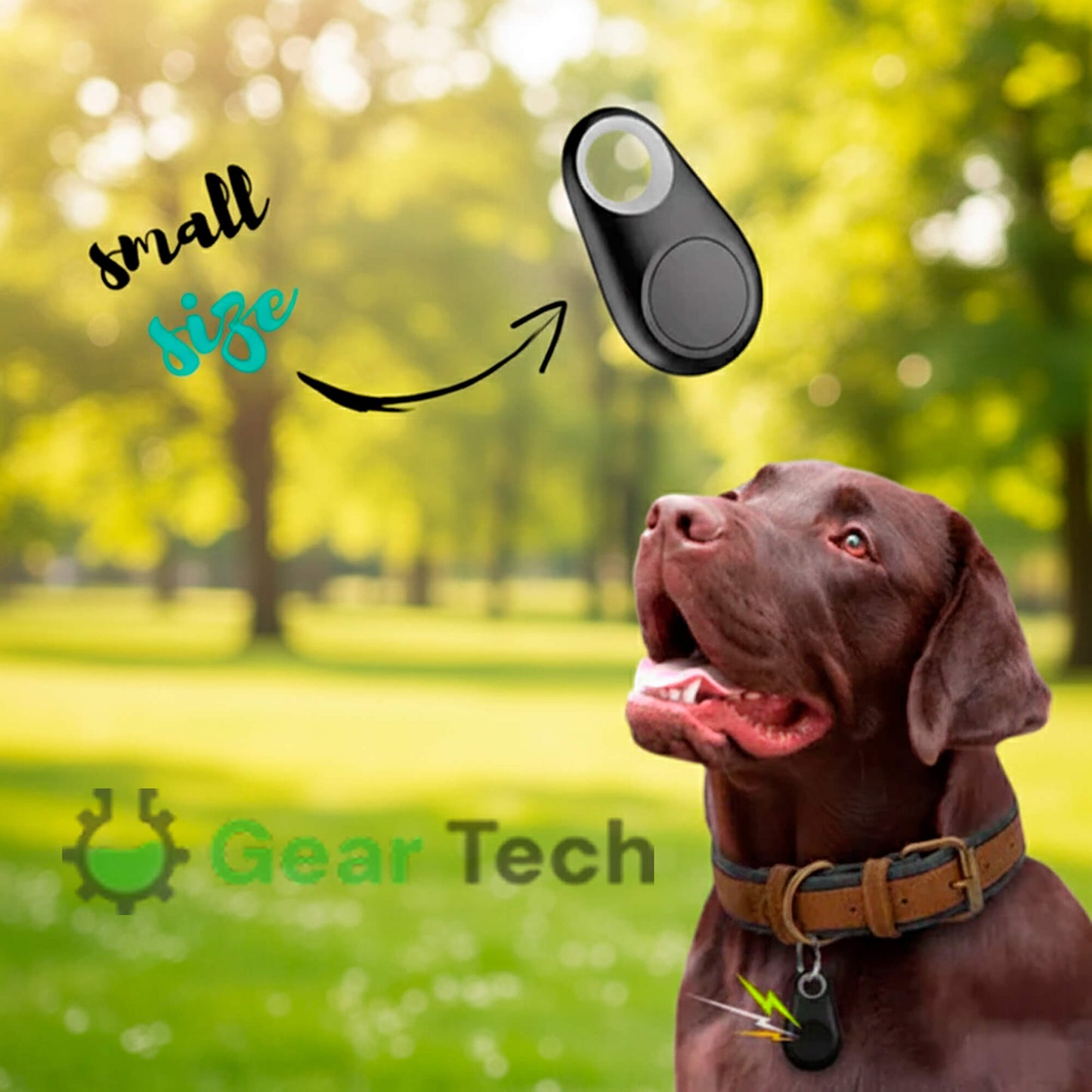 Accurate Pet GPS Tracker with Free Lifetime Updates