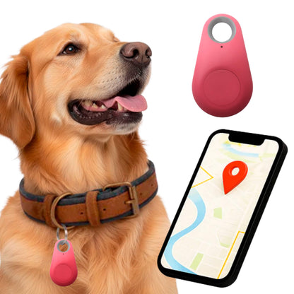 Accurate Pet GPS Tracker with Free Lifetime Updates