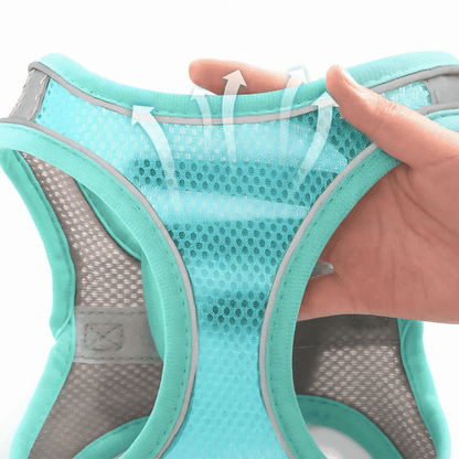 Adjustable Cat Shirt – Breathable Mesh Safety Design for Outdoor Adventures, Escape-Resistant and Fully Adjustable Fit-5