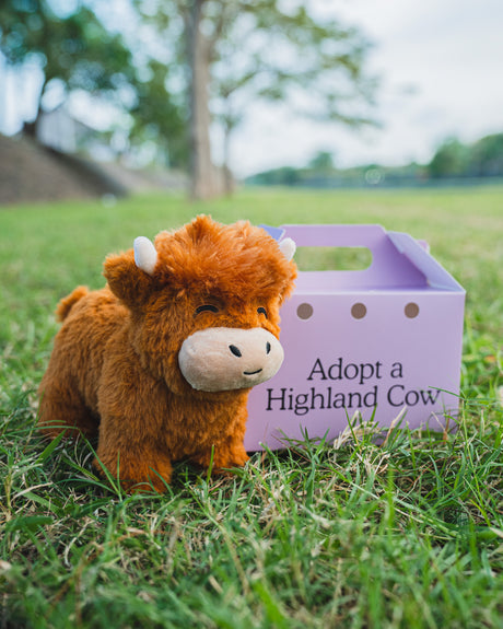 Cuddly Cow Soft Plush Toy Gift