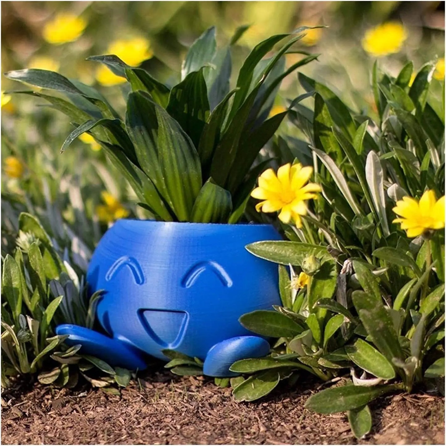 Fun Succulent Pot Planter