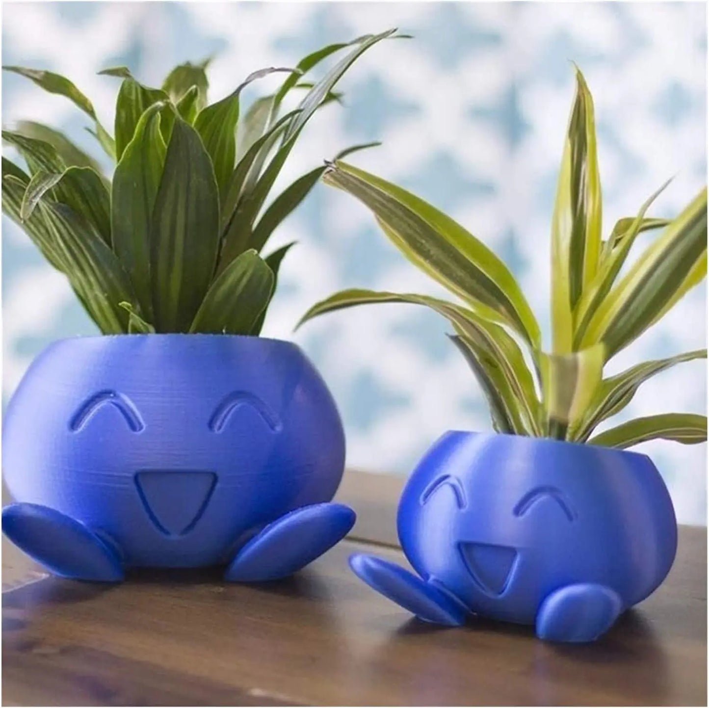 Fun Succulent Pot Planter