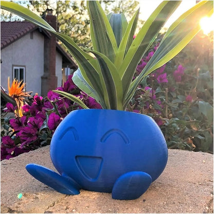 Fun Succulent Pot Planter