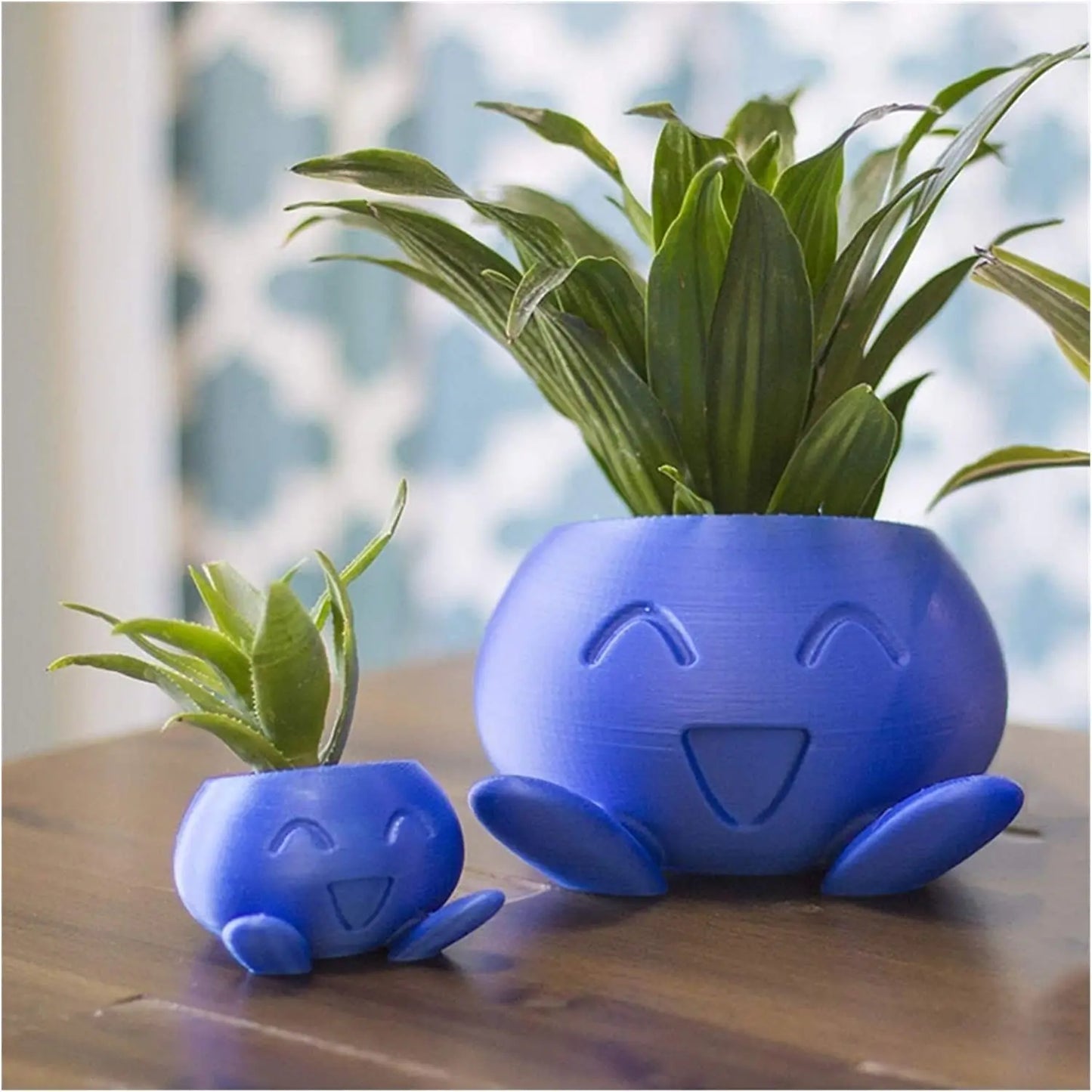 Fun Succulent Pot Planter