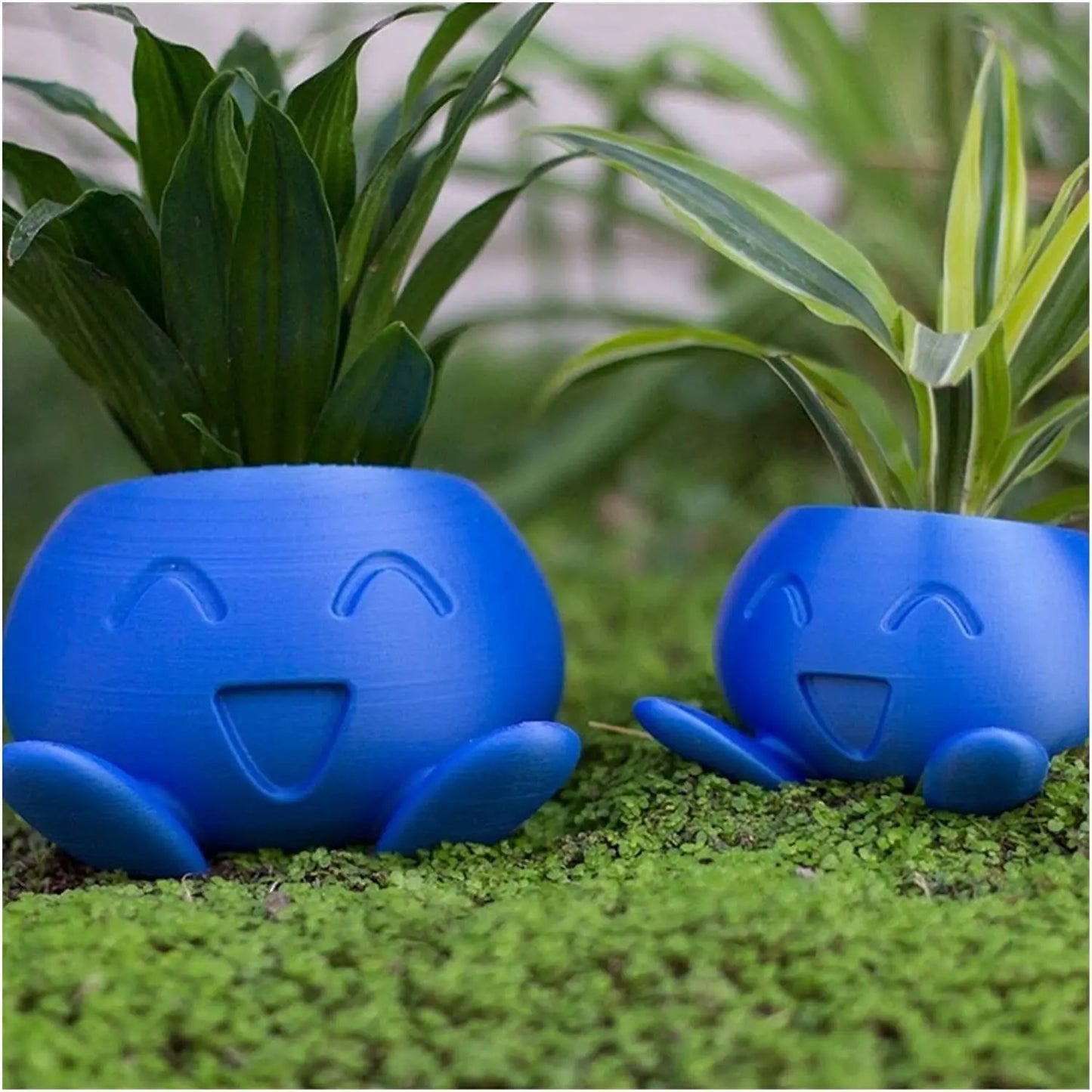 Fun Succulent Pot Planter