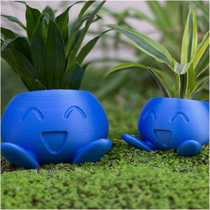 Fun Succulent Pot Planter