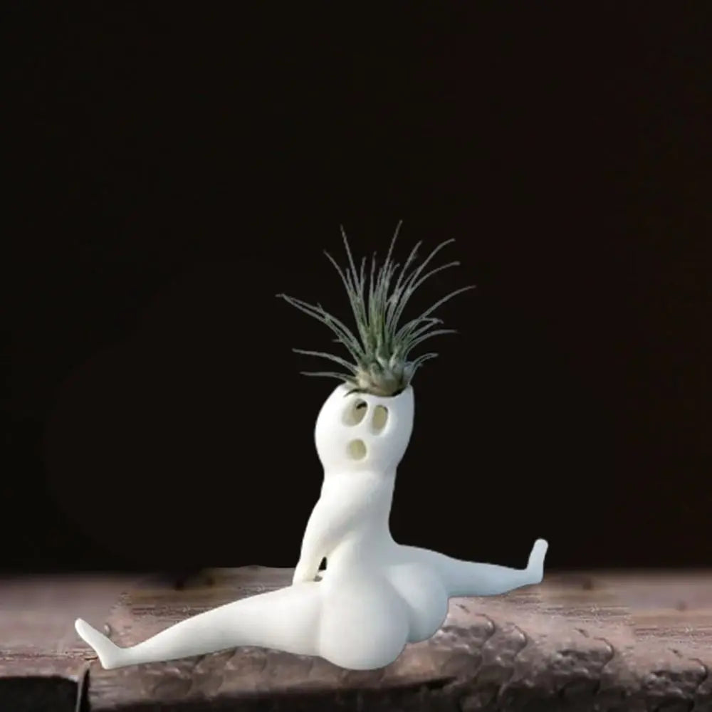 Creepy Air Plant Holder Decor