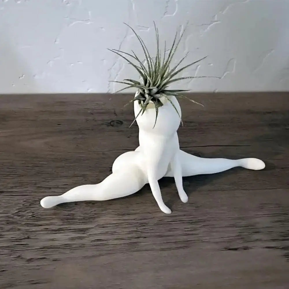 Creepy Air Plant Holder Decor