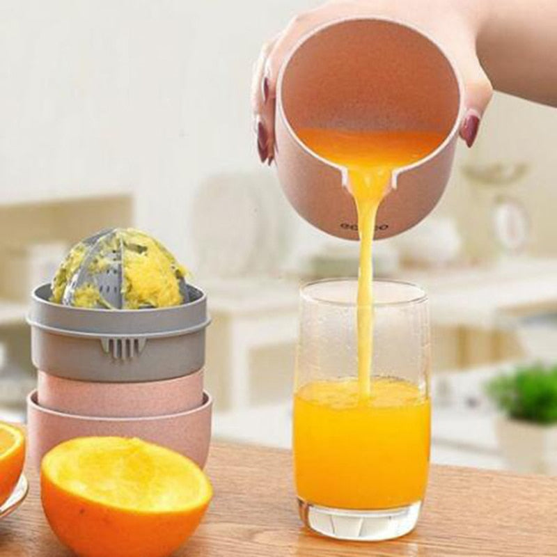 Compact Easy Clean Fruit Juice Extractor - Fesara