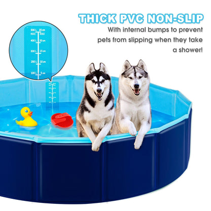 Portable Pet Pool for Kids and Dogs