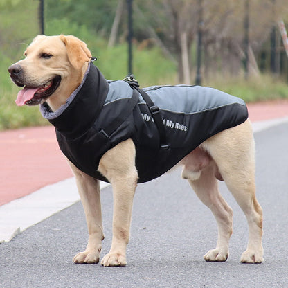 Waterproof Dog Coats for Winter