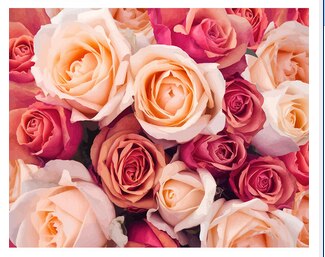 Beautiful Floral Art Painting Kit