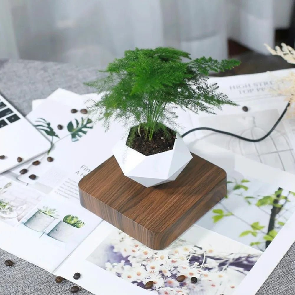 Unique Floating Plant Decor