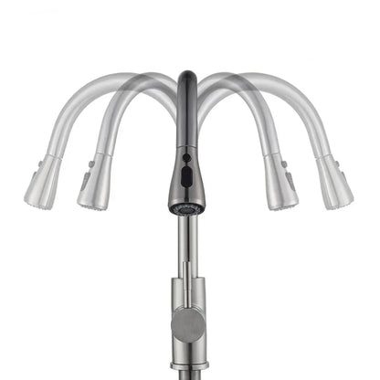 Flexible Kitchen Sink Faucet