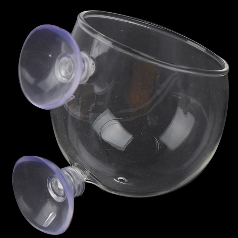 Decorative Aquarium Glass Fish Tank Vase