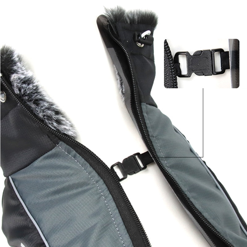Waterproof Dog Coats for Winter