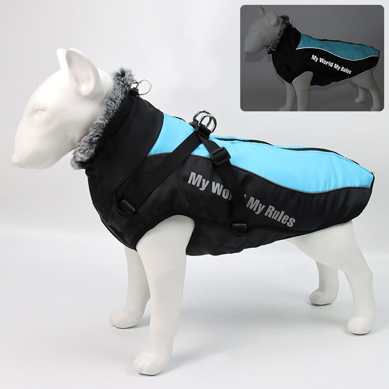 Waterproof Dog Coats for Winter