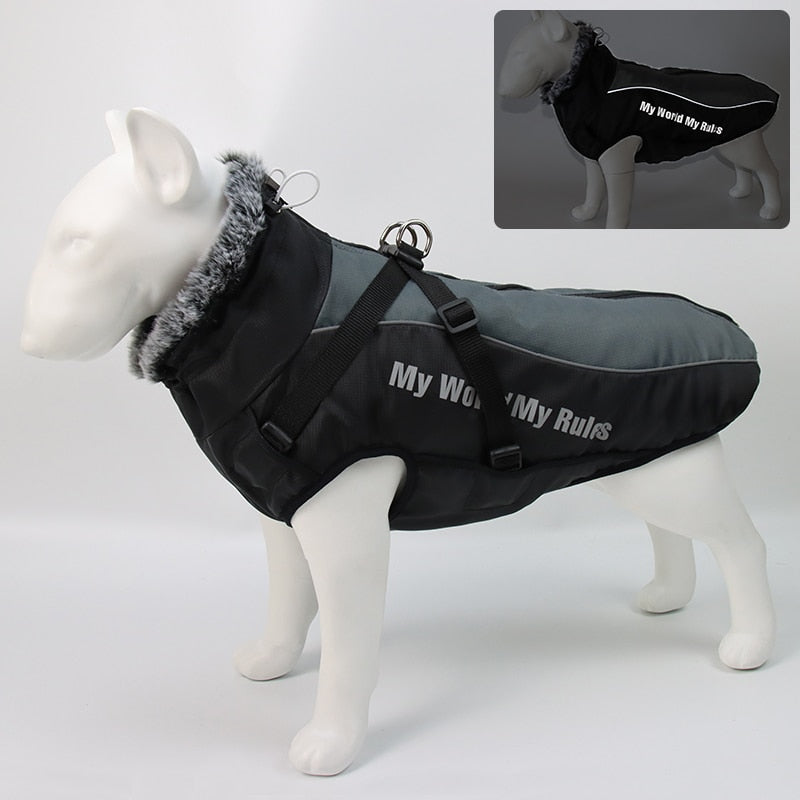 Waterproof Dog Coats for Winter