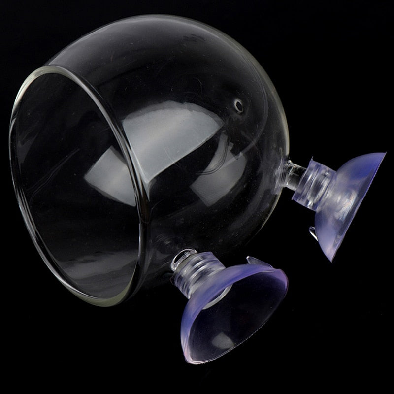 Decorative Aquarium Glass Fish Tank Vase