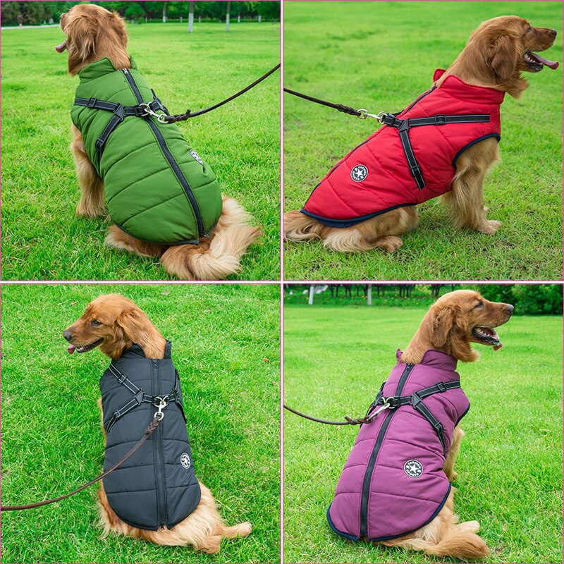 Cozy Dog Jacket with Integrated Safety Harness
