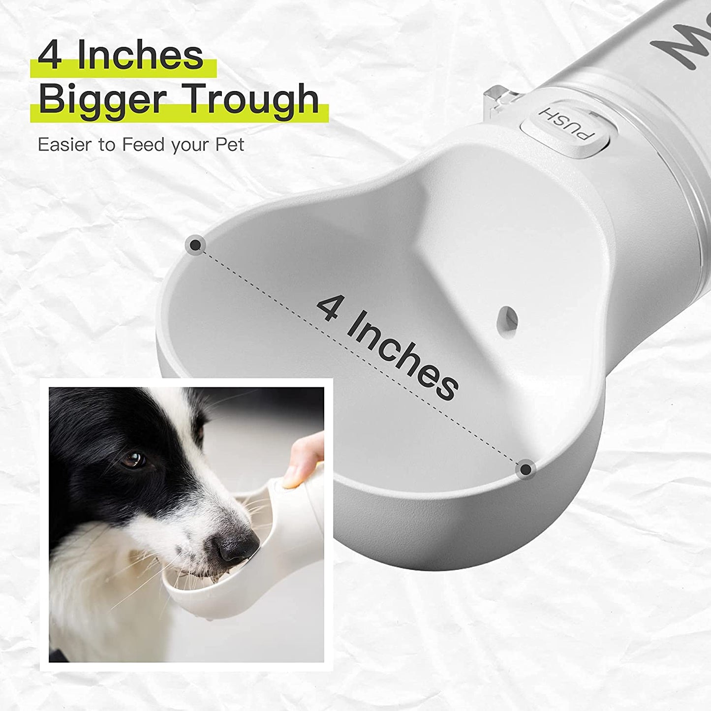 Fesara Cute Dog Bone Water Bottle