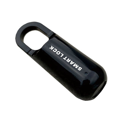 Compact Digital Fingerprint Lock Box