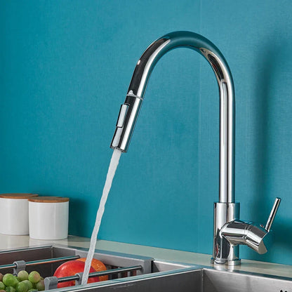 Swivel 360 Degree Kitchen Faucet
