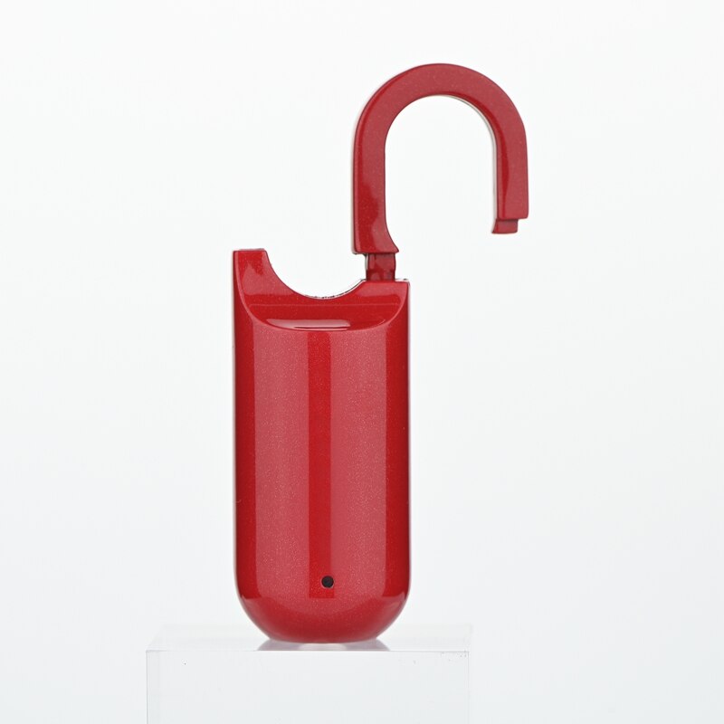 Compact Digital Fingerprint Lock Box