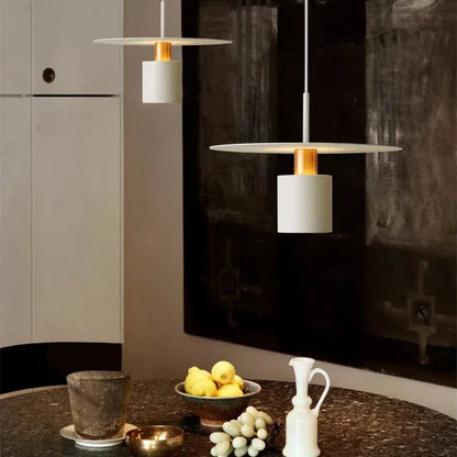 Modern Hanging Pendant Lamp