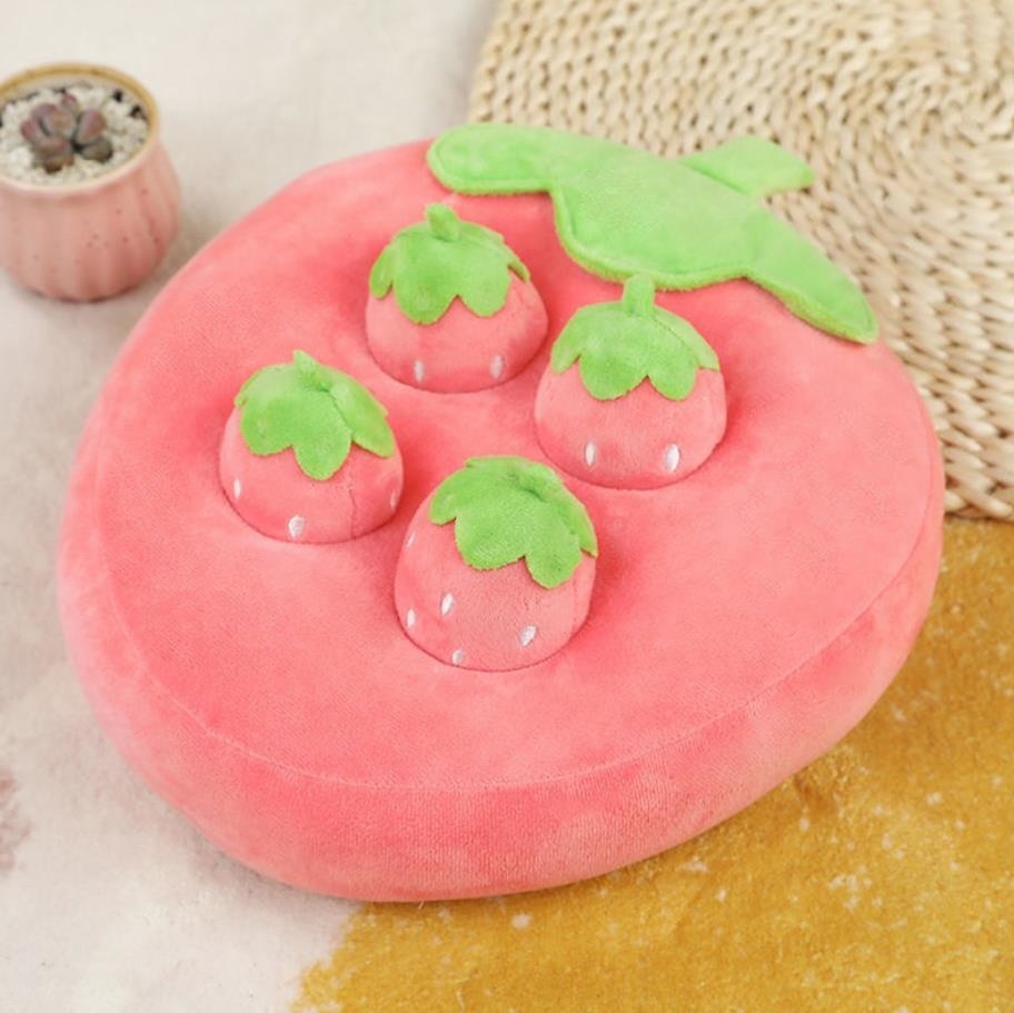 Fun Pet Treat Puzzle Toy