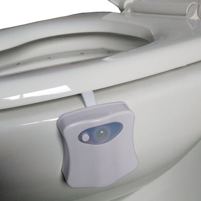 Bright Toilet Night Light with Motion Activated Sensor