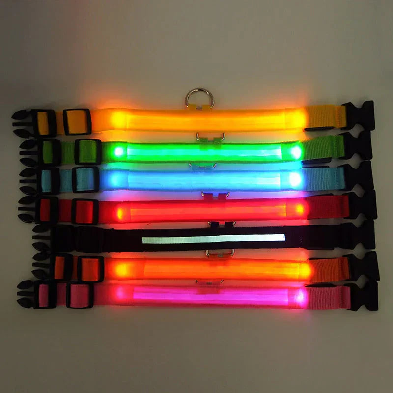 Bright LED Pet Safety Collar
