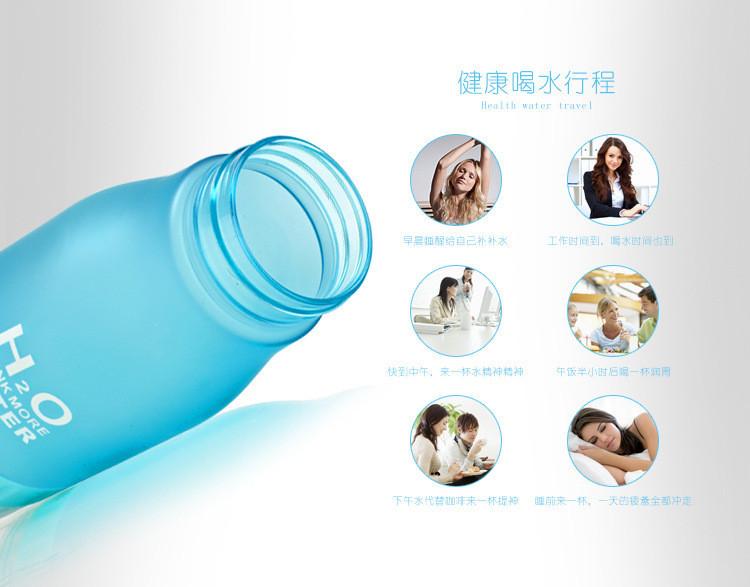Flavor Infusion Water Bottle with Fruit Strainer