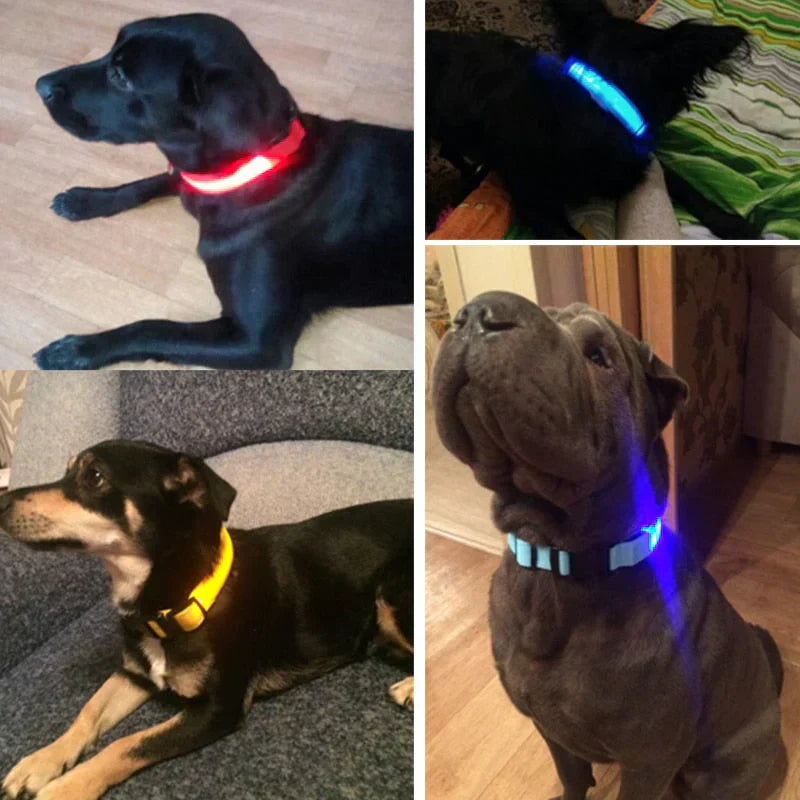 Bright LED Pet Safety Collar