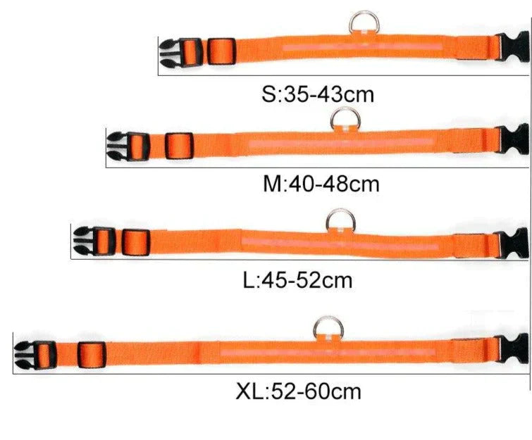 Bright LED Pet Safety Collar